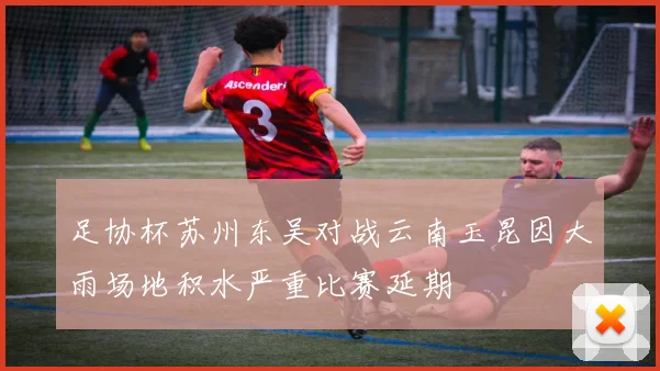 足协杯苏州东吴对战云南玉昆因大雨场地积水严重比赛延期